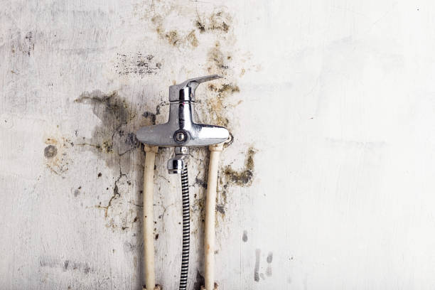 Water Damage Restoration in Plainsboro Center, NJ