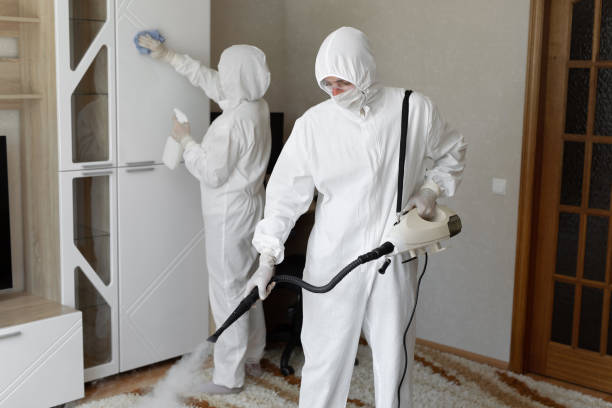 Mold Testing and Removal in Plainsboro Center, NJ