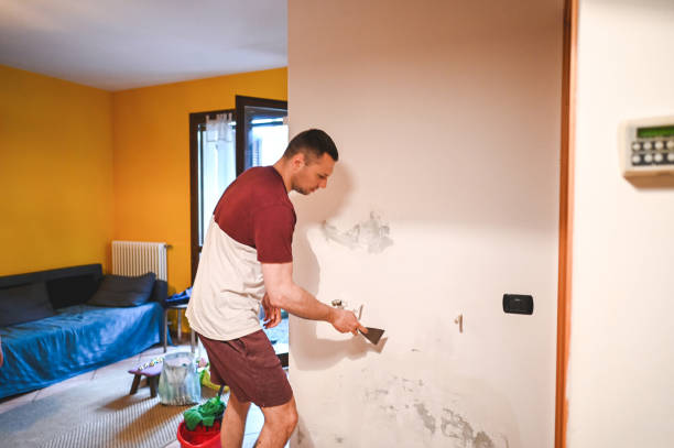 Trusted Plainsboro Center, NJ Mold Removal Experts