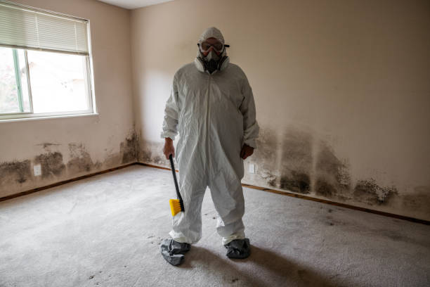 Best Crawl Space Mold Removal  in Plainsboro Center, NJ